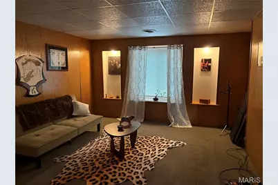 3131 Ohio Avenue, Saint Louis, MO 63118 - Photo 32