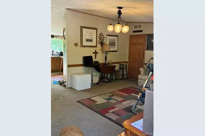 642 Grandview Drive Drive, Bismarck, MO 63624 - Photo 6