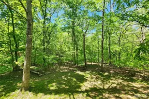 33 Pawnee Dr, Sullivan, MO 63080 - Photo 36