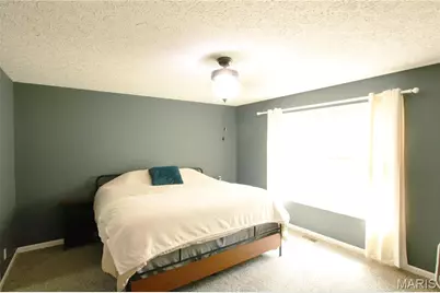 5294 Farrell Road, Gerald, MO 63037 - Photo 14