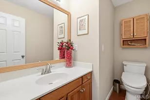 2013 La Chelle Ct, Saint Louis, MO 63146 - Photo 34