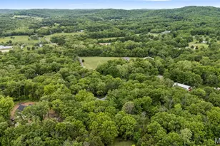 5145 St Patrick Ln, House Springs, MO 63051 - Photo 48