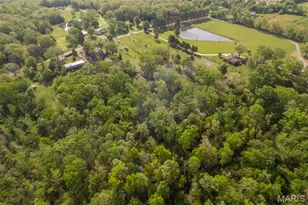 1619 Co Rd 523, Poplar Bluff, MO 63901 - Photo 18