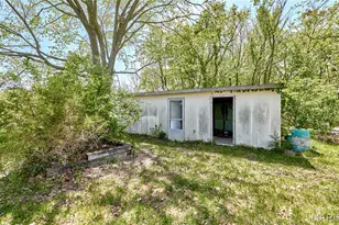 196 Absolut Ln, Troy, MO 63379 - Photo 52