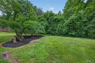 223 Trailtop Ct, Chesterfield, MO 63017 - Photo 58