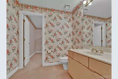 13004 Pembrooke Valley Court, Saint Louis, MO 63141 - Photo 34