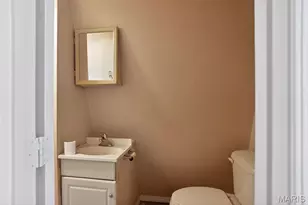 4749 Oldenburg Ave, Saint Louis, MO 63123 - Photo 26