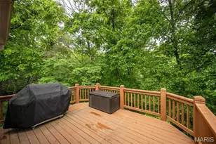 2041 Avalon Ridge Cir, Fenton, MO 63026 - Photo 24