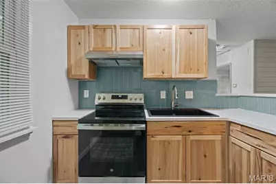 38 Westdell Drive, Saint Louis, MO 63136 - Photo 12