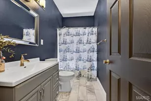 4161 Flad Ave, Saint Louis, MO 63110 - Photo 28