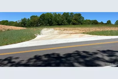 Hwy V Highway, Villa Ridge, MO 63089 - Photo 12