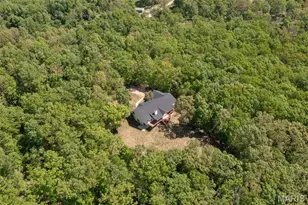3556 Y Hwy, Valles Mines, MO 63087 - Photo 22