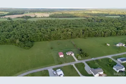 1036 Ridgewood Farms Road, Farmington, MO 63640 - Photo 12