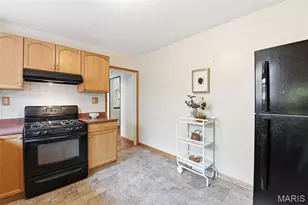 3829 Burgen Ave, Saint Louis, MO 63116 - Photo 14