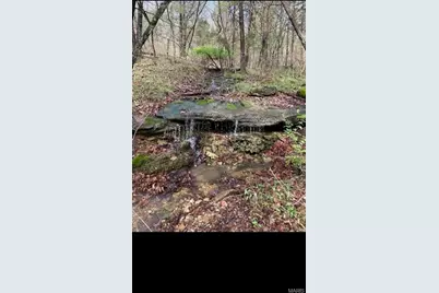 00 Ware, Fenton, MO 63020 - Photo 10