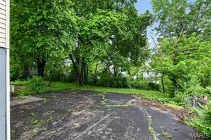 729 Dammert Ave, Saint Louis, MO 63125 - Photo 8