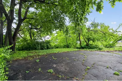 729 Dammert Avenue, Saint Louis, MO 63125 - Photo 10
