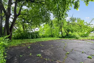 729 Dammert Ave, Saint Louis, MO 63125 - Photo 10