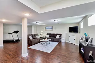103 Pomodora Cir, Wentzville, MO 63385 - Photo 50