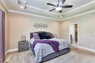 103 Pomodora Cir, Wentzville, MO 63385 - Photo 42