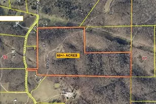 89 Zips Rd, Hawk Point, MO 63349 - Photo 2