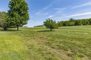 237 Timberfield Dr, Farmington, MO 63640 - Photo 46