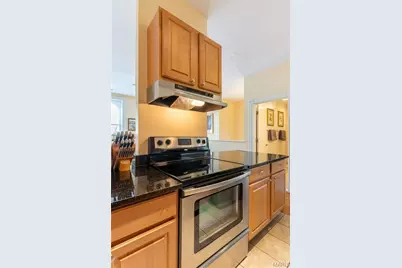 4322 Gibson Avenue, Saint Louis, MO 63110 - Photo 66