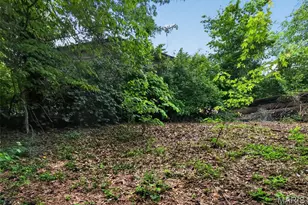 10247 Valley Dr, Saint Louis, MO 63137 - Photo 8