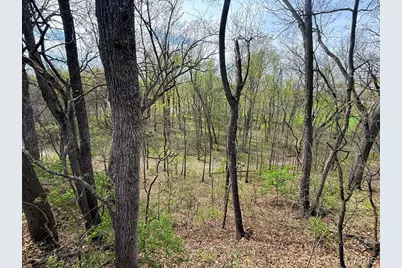 4078 Highway 79, Louisiana, MO 63353 - Photo 44