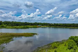 000 SE Hwy 54, Collins, MO 64738 - Photo 6