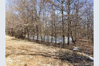 11175 Pike 41, Bowling Green, MO 63334 - Photo 58