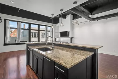 3010 Locust Street #208, Saint Louis, MO 63103 - Photo 12