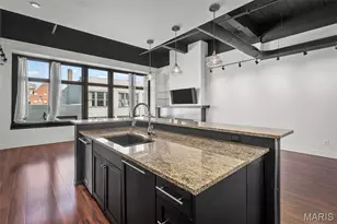 3010 Locust St, Saint Louis, MO 63103 - Photo 12