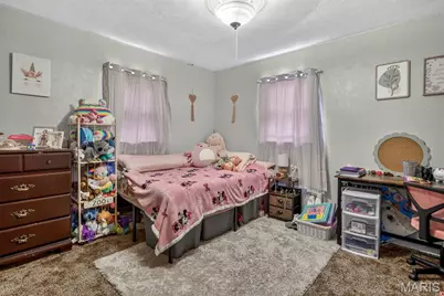 900 Williams Street, De Soto, MO 63020 - Photo 8