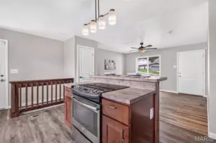 110 E Thornton Ave, Webster Groves, MO 63119 - Photo 10