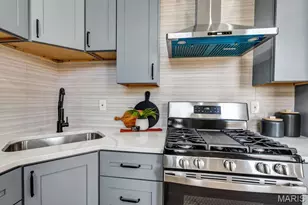 1000 Barton St, Saint Louis, MO 63104 - Photo 16