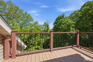 6355 Franks Rd, Byrnes Mill, MO 63051 - Photo 30