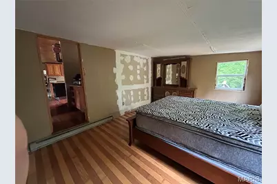 438 Little Dogwood Lake Road, Burfordville, MO 63739 - Photo 26