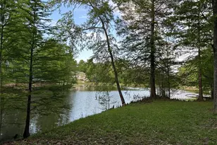 438 Little Dogwood Lake Rd, Burfordville, MO 63739 - Photo 44