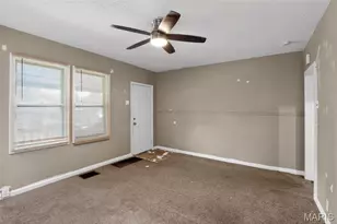 2313 Elco Ave, Saint Louis, MO 63114 - Photo 16