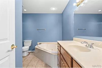 12858 Birdie Court, Saint Genevieve, MO 63670 - Photo 48