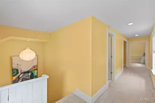 2839 Missouri Ave, Saint Louis, MO 63118 - Photo 36