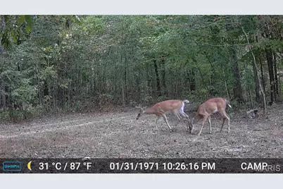 00 Highway Aa, Annapolis, MO 63620 - Photo 28