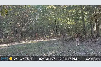 00 Highway Aa, Annapolis, MO 63620 - Photo 36