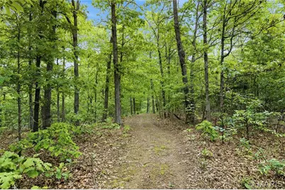 12949 Delbridge Road, Potosi, MO 63664 - Photo 36