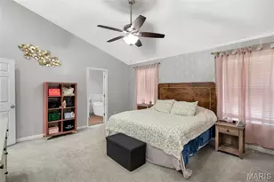 9764 Lee Dr, Hillsboro, MO 63050 - Photo 22