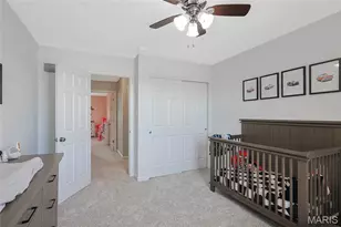 7 Sturgeon Ct, Wentzville, MO 63385 - Photo 30