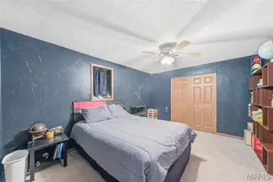 10520 Cannon Mines Rd, Cadet, MO 63630 - Photo 44