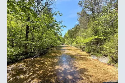 5 Furnace Creek Road, Potosi, MO 63664 - Photo 2