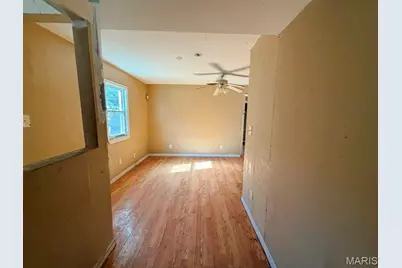10165 Count Drive, Saint Louis, MO 63136 - Photo 4